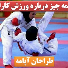 پاورپوینت کاراته