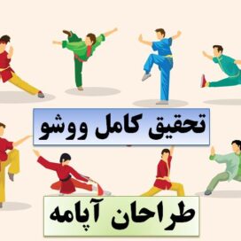 تحقیق ووشو