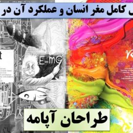 تحقیق مغز انسان
