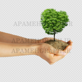 دست و خاک و درخت png