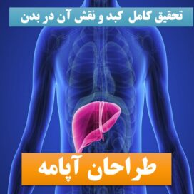 تحقیق پاورپوینت کبد