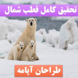 دانلود تحقیق پاورپوینت قطب شمال