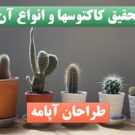 پاورپینت کاکتوسها