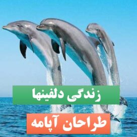 پاورپوینت دلفینها