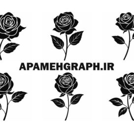 وکتور کورل انواع گل رز